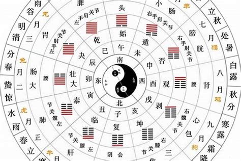 地支属性|十二地支类象详解 – 十二地支阴阳五行属性